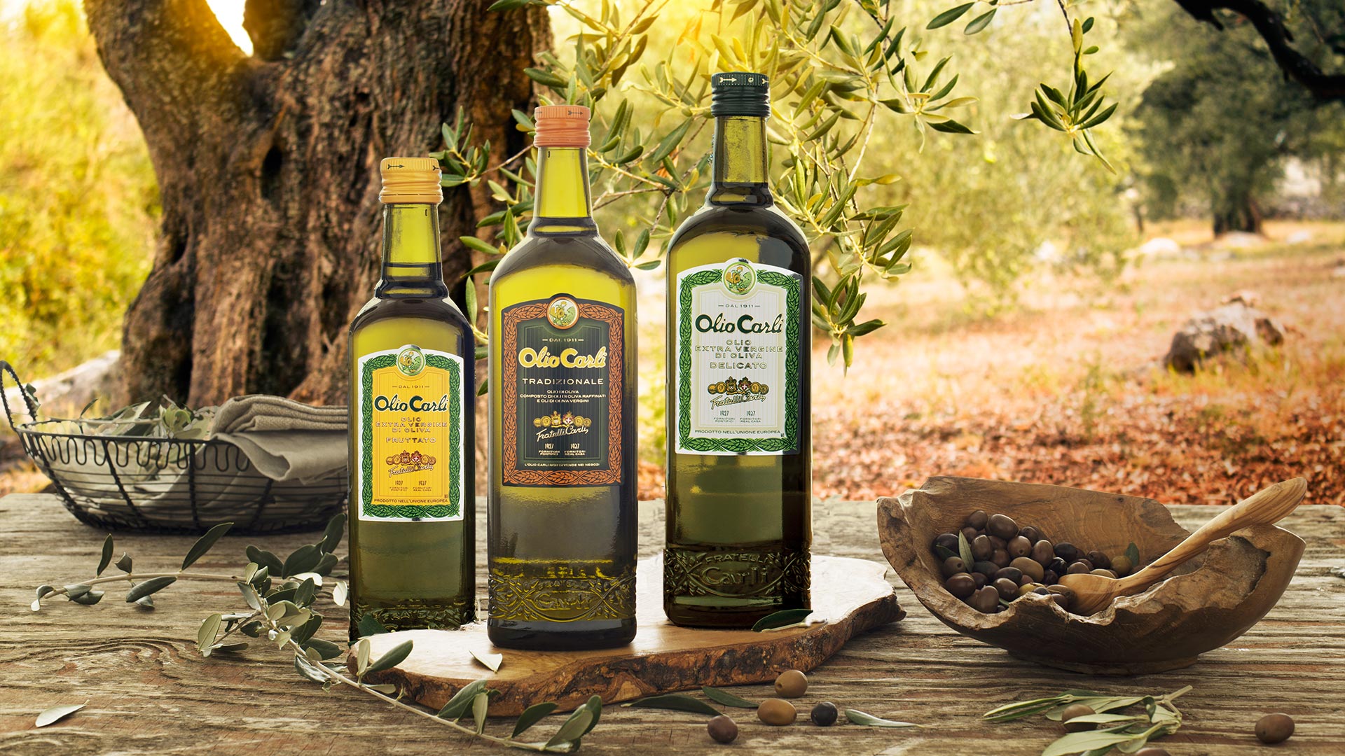 Conservation Huile d'Olive: les Astuces - Fratelli Carli